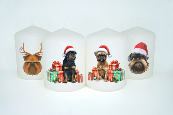 Adventní set grifonek